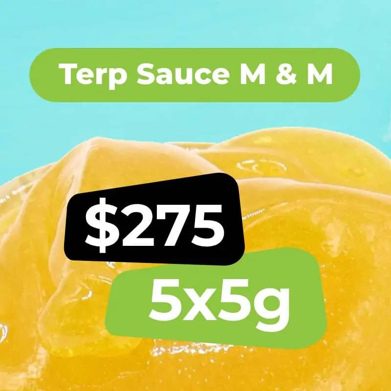 Terp Sauce Bundle - 25g
