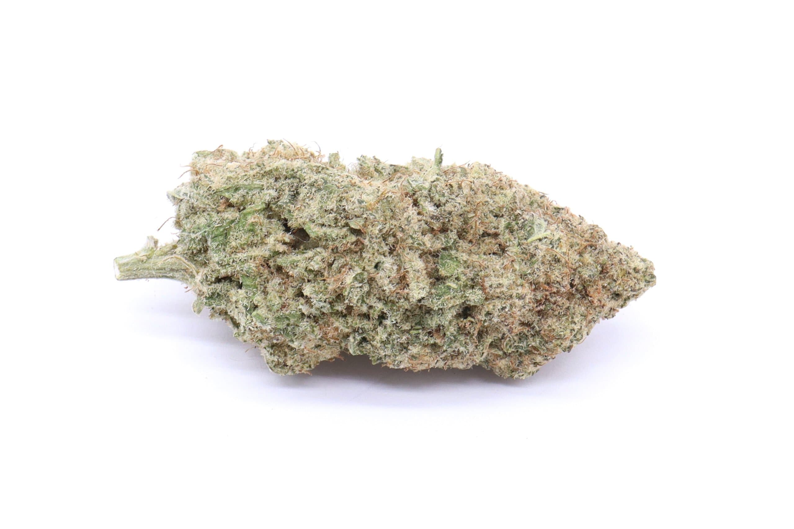 Lemon Sorbet Strain Flower - Hybrid
