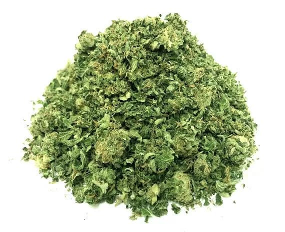 9 Pound Hammer Strain - Premium Grade Shake