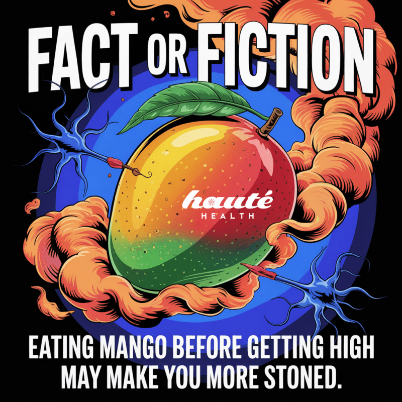 A psychedelic illustration of a mango surrounded by swirling smoke and neuron visuals, with bold text that reads: “FACT OR FICTION – Eating mango before getting high may make you more stoned.” The Haute Health logo is stamped on the mango.